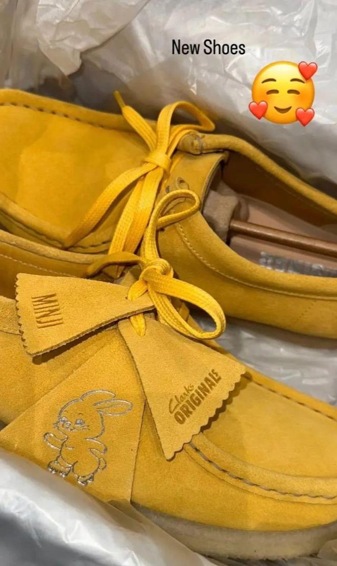 Rihanna、NewJeans联名款释出OG网站Lisa、王嘉尔加持LV潮鞋出圈！(图14)