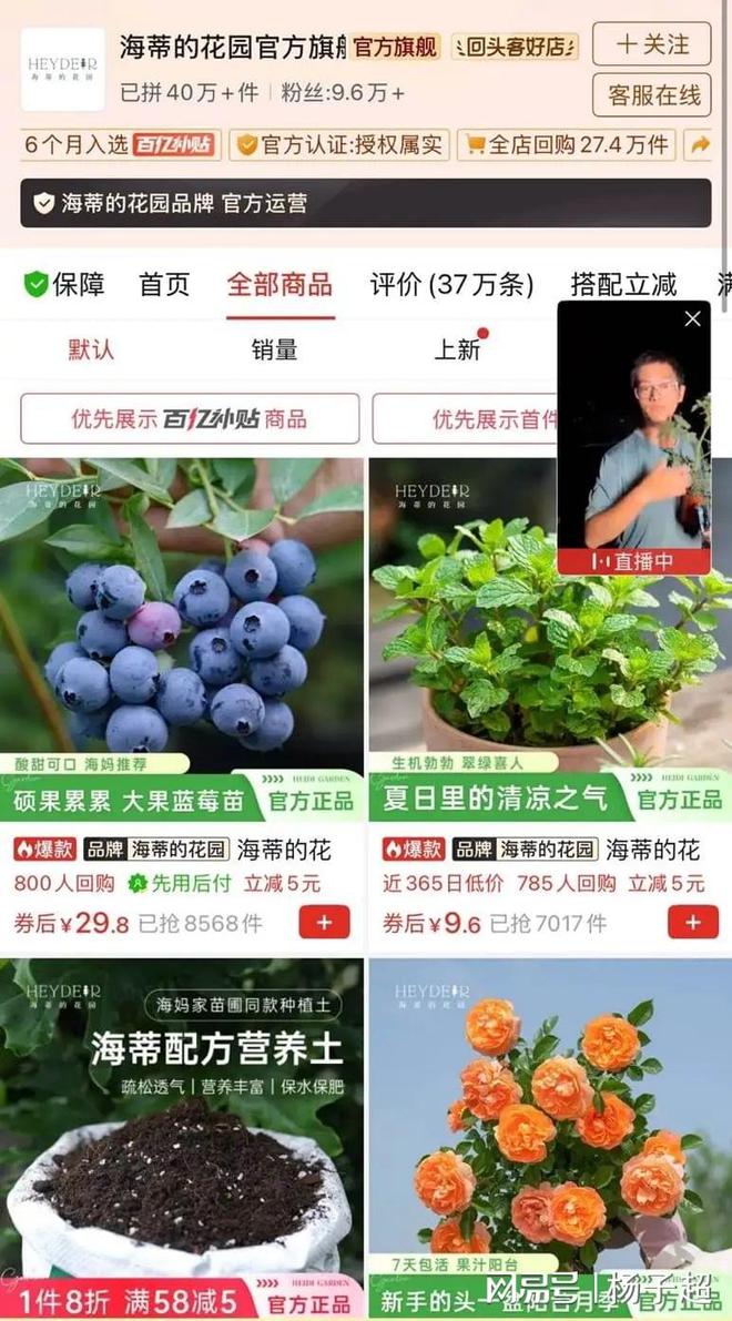 商家拼多多为商家长期护航OG真人砸下“千亿”赋能(图3)
